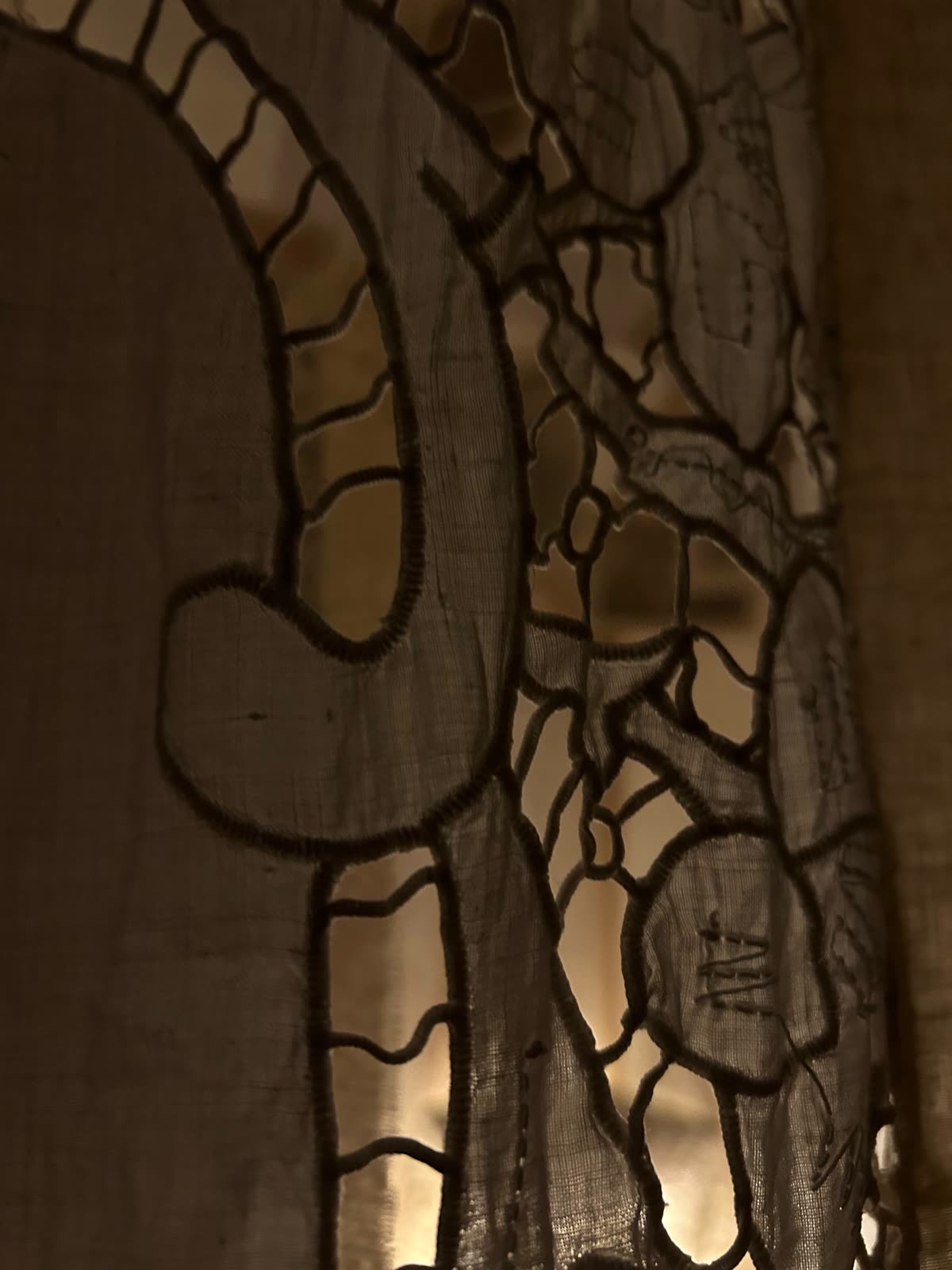 Cutwork lace lit from behind